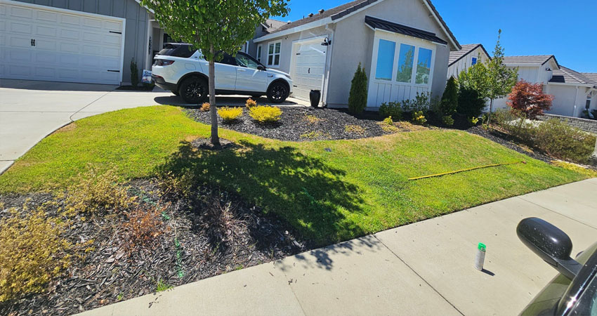landscape before picture